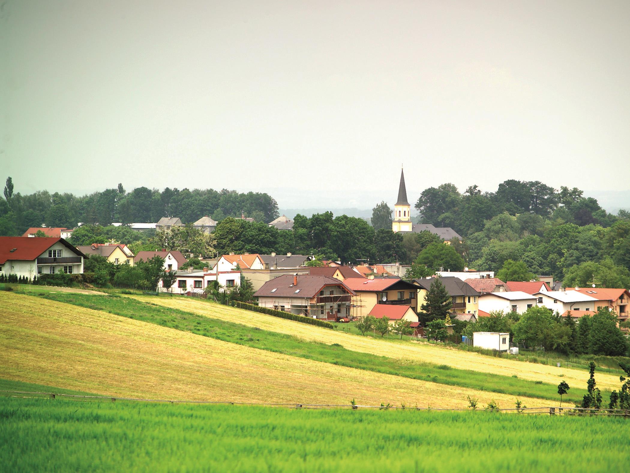 REGION HLUČÍNSKO Nejvýznamnější svazky a sdružení: Sdružení obcí Hlučínska (SOH) Svazek obcí mikroregionu Hlučínsko západ Svazek obcí