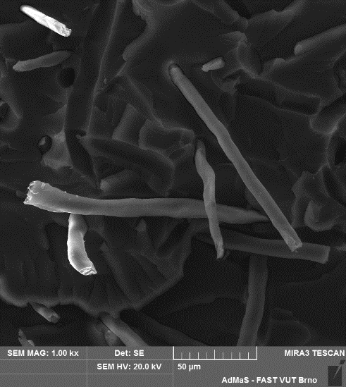 Obrázek 51: Dispergace vláken v matrici se 2 % NFC (200x) Obrázek 52: Přetržené vlákno v matrici se 2 % NFC (5000x) Obrázek 53: Dispergace vláken v matrici při 5 % plnění NFC ( 200x) Obrázek 54: