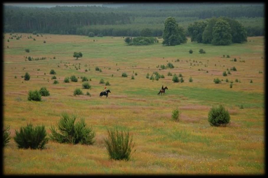 JIHOAMERICKÉ STEPI (PAMPY) Pampa se rozkládá ve východní Argentině. Příznivější klimatické podmínky. V zimě se zde prakticky nevyskytují mrazy.