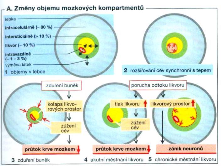 Změny objemu