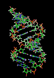 podle hodnoty polymeračního stupně rozlišujeme: a) oligomery (n<10) b) polymery (n>10) polymery biologického původu = biopolymery