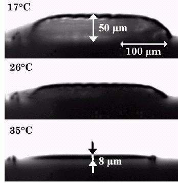 Stimuli Sensitive Materials/Polymers (SSMs/SSPs) = = Materiály/Polymery citlivé na podněty polymerní