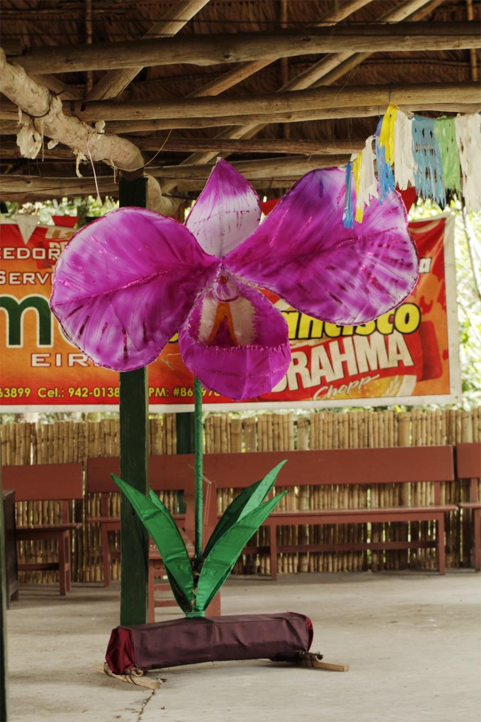 využití orchidejí lidmi - okrasné řez květů hrnková rostlina - užitkové - k jídlu