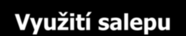 Využití salepu škrob, 50 % slizu (1950) glukomannan, orchinol apod.