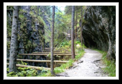 ŽIARSKÁ DOLINA A NÍZKÉ TATRY TERMÍN: 1. - 4. 9. 2016 DOPRAVA: autobus členové KČT 600,- Kč (záloha na bus) ostatní 700,- Kč ubytování 8-10 na osobu a noc 1. den Výjezd lanovkou na Chopok - 2024 m.