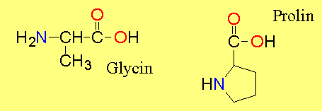 Ukázka hlavních aminokyselin v želatině Hlavní aminokyseliny želatiny: glycin (Gly) prolin (Pro) hydroxyprolin (ProH) Zdroje: šlachy a kůže zvířat Vepřová kůže, kyselý proces želatina A Hovězí
