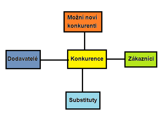 Rok 2010 je jediným, kdy ukazatel EVA dosáhl kladné hodnoty, konkrétně 840 000 Kč.