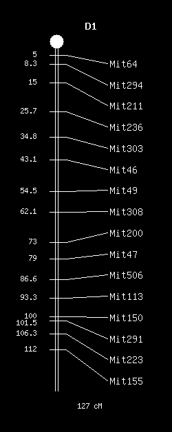 Potřebujeme sadu molekulárních markerů polymorfních mezi danými kmeny