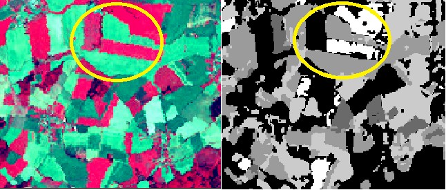 Nesrovnalosti ve spektrálním chování zemědělských povrchů lze posoudit porovnáním zemědělské plochy v RGB syntéze 4., 3. a 2. pásma a bitového obrazu polí zvýrazněných z indexu greenness (viz. Obr.