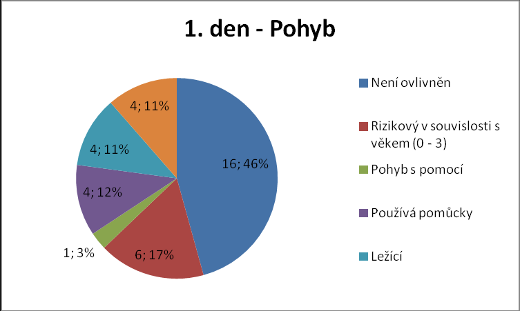 6 Analýza a interpretace výsledků 6.1 Analýza dotazníkového šetření Kategorie č. 1 1. den Pohyb Obrázek 1 1. den - Pohyb Výsledek: 1. den bylo 16 pacientů bez rizika pádu spojeného s pohybem.