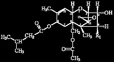 Deoxynivalenon (DON) Kukuřice, obiloviny zvracení, odmítání krmiv, průjem Ohrožená