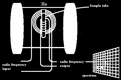 frekvence resonance Larmorova frekvence přechody spinů => absorpce radiofrekvenčního záření => detekce NMR studie vlastností molekul s mag. at.j. při aplikaci mag.