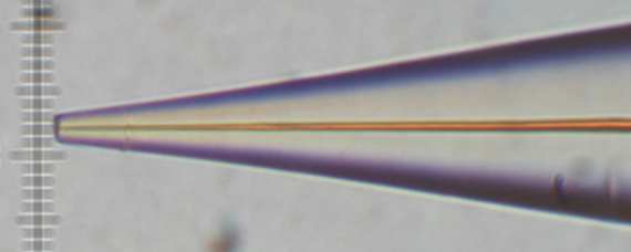 Mikroelektrody Øhrotu obvykle méně než 25 µm Pt, Au, Ag, C Amperometrické