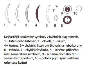 a čísel. Květní vzorec vyjadřuje stavbu květních obalů, přítomnost tyčinek a pestíků. Nejčastěji používané značky a zkratky v květních vzorcích jsou uvedeny na obrázku 10.