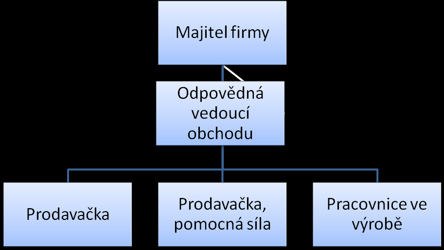 Obr.2 - Organizační struktura firmy 63 4.2 Analýza a popis pracovních míst 4.2.1 Analýza pracovních míst Analýza pracovních míst, jak již bylo uvedeno v kapitole 2.