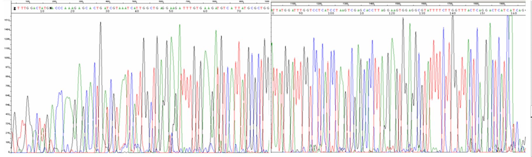 další choroby rostlin) Kalibrační křivka pro kvantifikaci neznámé DNA Termocykler pro Real Time - PCR Tento přístroj se také využívá k: Detekcím jednobodových mutací (např.