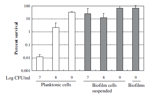 Graf 2: Množství přežívajících buněk Lactobacillus plantarum subsp. plantarum JCM1149 v různých růstových fázích po aplikaci roztoku kyseliny octové v octanu sodném (ph 3) (Upraveno dle Kubota a kol.