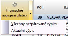 4.2. Formulář výpisy Nájem Výpisy 4.3. Postup načtení výpisu 4.3.1.