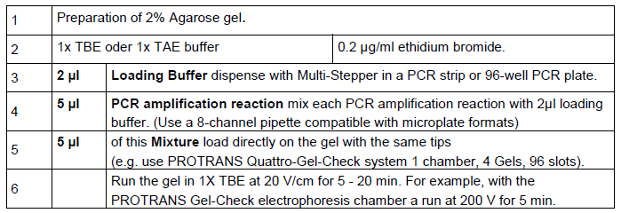 11.0 Analýza výsledků PCR amplifikace. Stanovení Haplotypů PCR produkty jsou identifikovány elektroforézou na fluorescenčním agarózním gelu pomocí UV detekce PCR pruhů. 12.