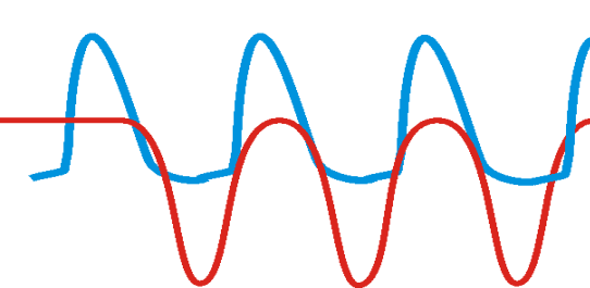 Sharp wave ripples buňěčné mechanizmy Lokální zapojení v hipokampu Intracelulární záznam cell 1 cell 2 cell 3 cell 4 cell 5 Aktivita