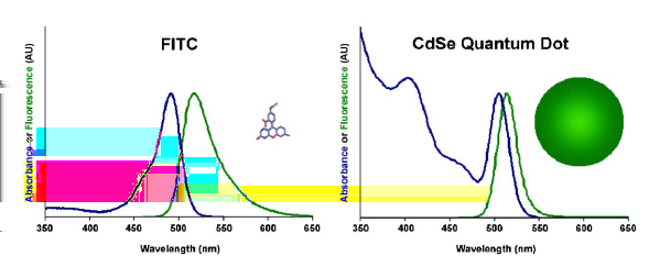 Nanočástice Nanodráty a nanotrubičky Fluorescenční značky větší fluorescenční kvantový zisk nedochází k vyblednutí větší posuv frekvence užší emisní