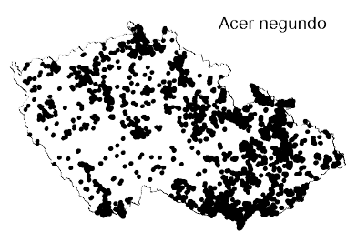 SDM data výskytu druhů terénní mapování musea a herbária on-line zdroje - IUCN - Nature