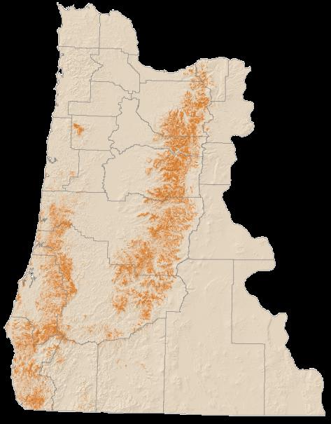 method Data represent % of cover for 14 host species susceptible to P.