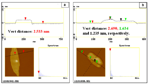 Příklady aplikace AFM studium nanostruktur uhlí TEM a HR-TEM