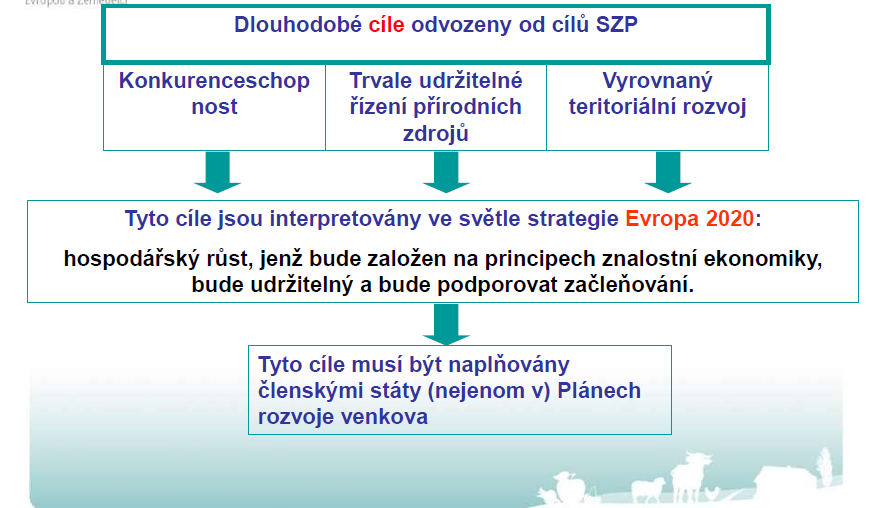 Cíle a priority politiky