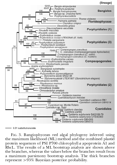 Yoon et al.