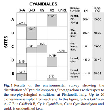 Ciniglia et al.