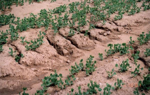 Změna kvality půdy Eroze půdy zvětšování velikosti oraných pozemků rušení bývalých hydrografických prvků