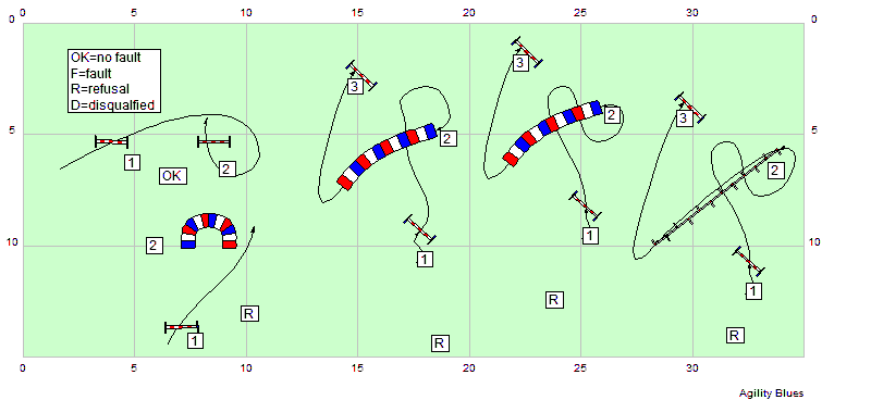 Příklady: 1. Pes doskočí za linii odmítnutí následující překážky a protne tuto linii jednou = v pořádku 2.