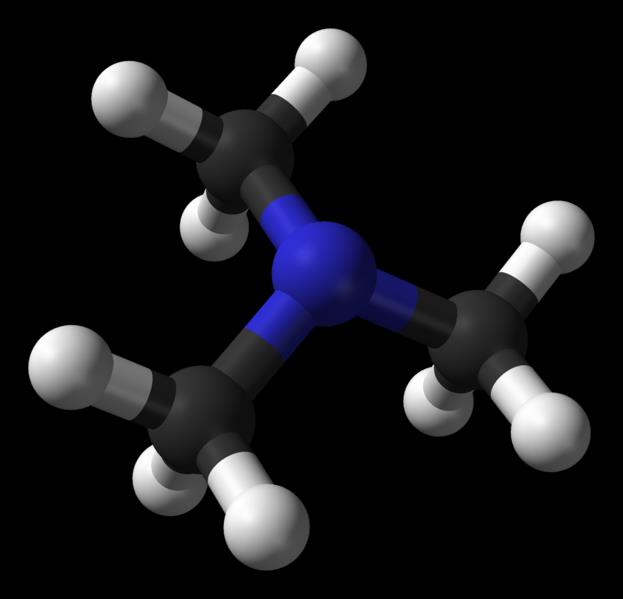Trimethylamin (CH 3 ) 3 N bezbarvý, hygroskopický plyn s intenzivním zápachem vysoce hořlavý Obr.
