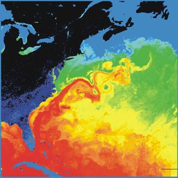 Golfský proud a jeho severní větve Irmingerův, Norský a Severoatlantický proud je silný, teplý a poměrně rychlý mořský proud Atlantského oceánu.