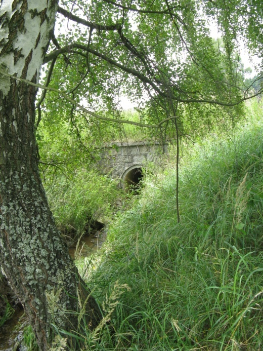V tomto úseku je patrná vodní eroze půdy na okolních pozemcích a eroze břehů koryta.