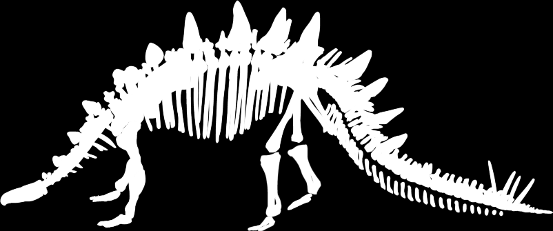 Stegosaurus Triceratops Tyranosaurus Rex výška šířka Size chart lebka