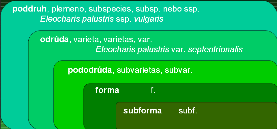 Taxonomický systém - jména taxonů infraspecifických (nižších než druh) nebo infragenerický (jiná jednotka) nelze psát