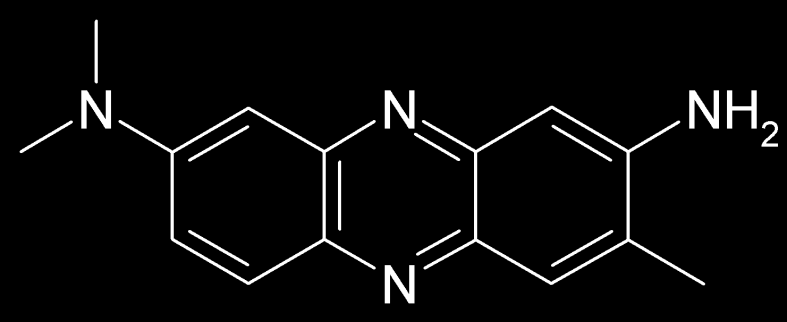 tak 5 isoenzymů M 4, M 3 H, M 2 H 2, MH 3 a H 4.