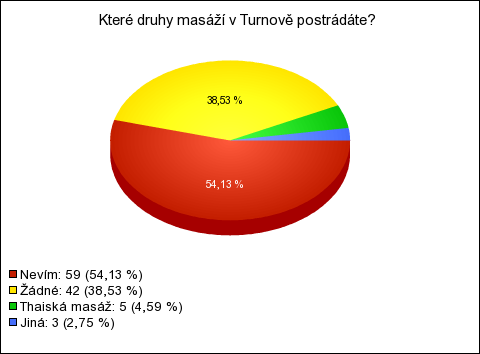 masáž určitě nevyzkouší 15,6 % dotázaných klientů. 8. Které druhy masáží v Turnově postrádáte? V této otázce jsem chtěla zjistit, zda-li v Turnově podle klientů chybí některá masáž.