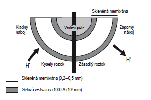 Obrázek 11 Průřez skleněnou membránou s prostupem vodíkových iontů v závislosti na hodnotě ph vodného roztoku [32] Vnitřní (referentní) elektroda naplněná pufrem má stálé ph prostředí, proto je její