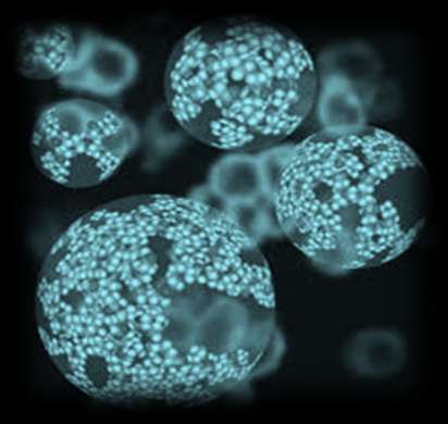 Nanofarmacie a nanofarmakologie DENDRIMERY Dendros Velikostí se blíží proteinům.