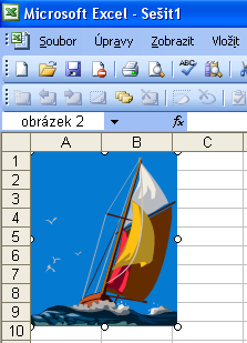 Příklad vložení obrázku do buňky a1: Shrnutí pojmů: Zadávání číselných hodnot