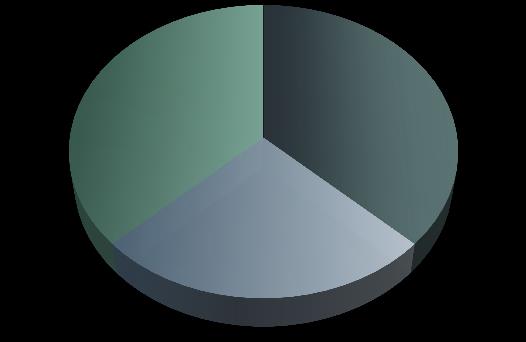 Fortinet představení společnosti 37% High-end 37% Entry Level 9