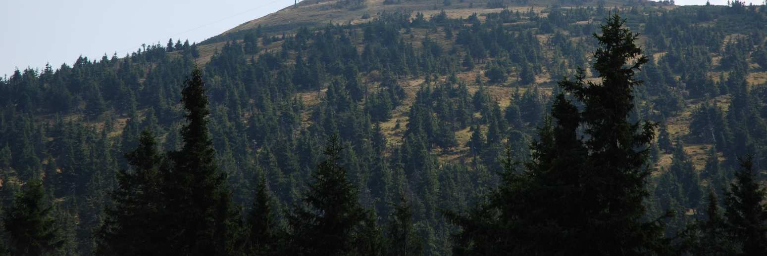 V rámci řešeného území jsou prioritami: Ochrana hlavní hřbetu Hrubého Jeseníku s nejvyššími vrcholy jako nejvýznamnější a nejvýraznější částí CHKO Jeseníky, zachování dálkových pohledů a propojenosti