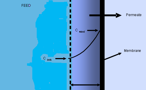 Princip příčného toku Koncentrační polarizace je úkaz, kdy se nalézá v blízkosti povrchu membrány