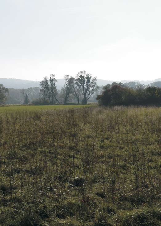 Niva potoka Štěpánky Projet se cyklistickou stezkou po nivních loukách nestačí, abyste viděli