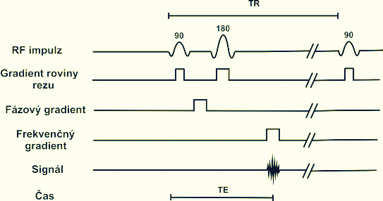 TE a T2 relaxačním čase tkáně. U spin-echové sekvence je tato amplituda přímo úměrná vztahu (e-te/t2).