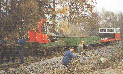 Mezi mechanická opatření patří kácení nemocných a přestárlých stromů.