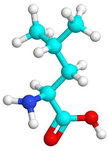 Postavte pomocí molekulové stavebnice uvedené modely molekul. Dávejte pozor na to, jaké druhy atomů použijete!